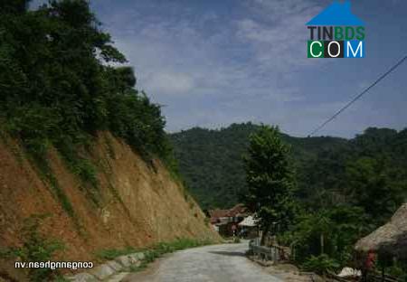 Hình ảnh Yên Na, Nghệ An