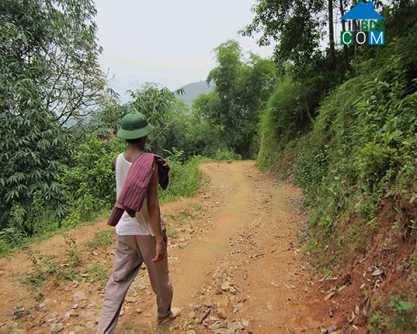 Hình ảnh Trịnh Tường, Lào Cai