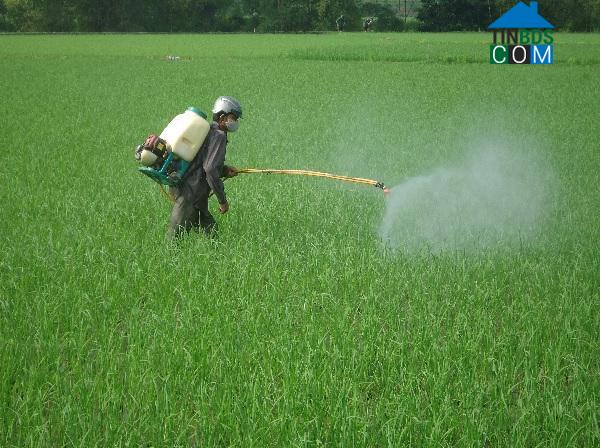 Hình ảnh Xuân Hòa, Lào Cai