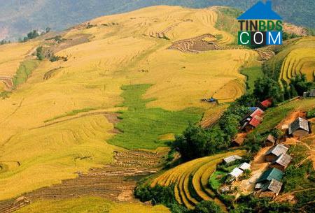 Hình ảnh Y Tý, Lào Cai