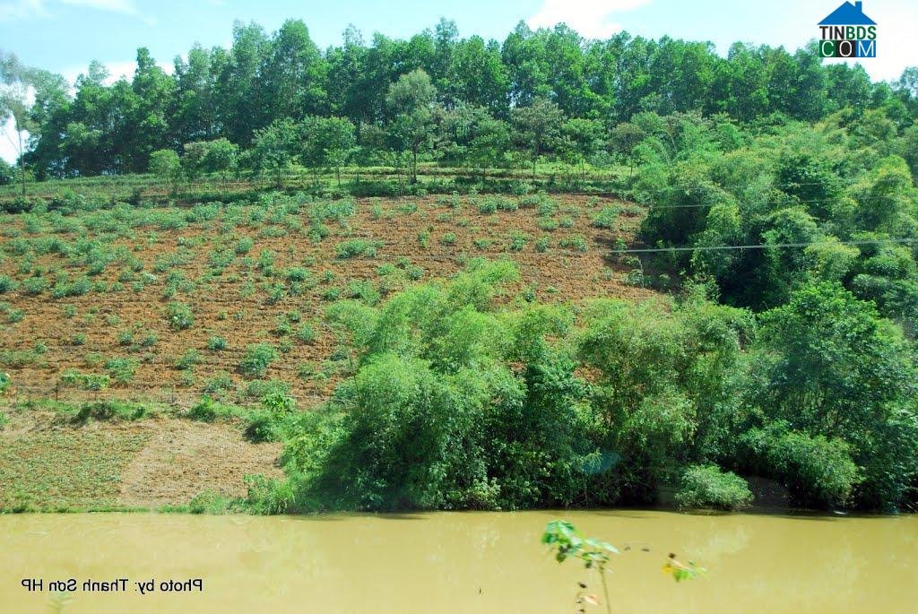 Hình ảnh Yên Xuân, Nghệ An