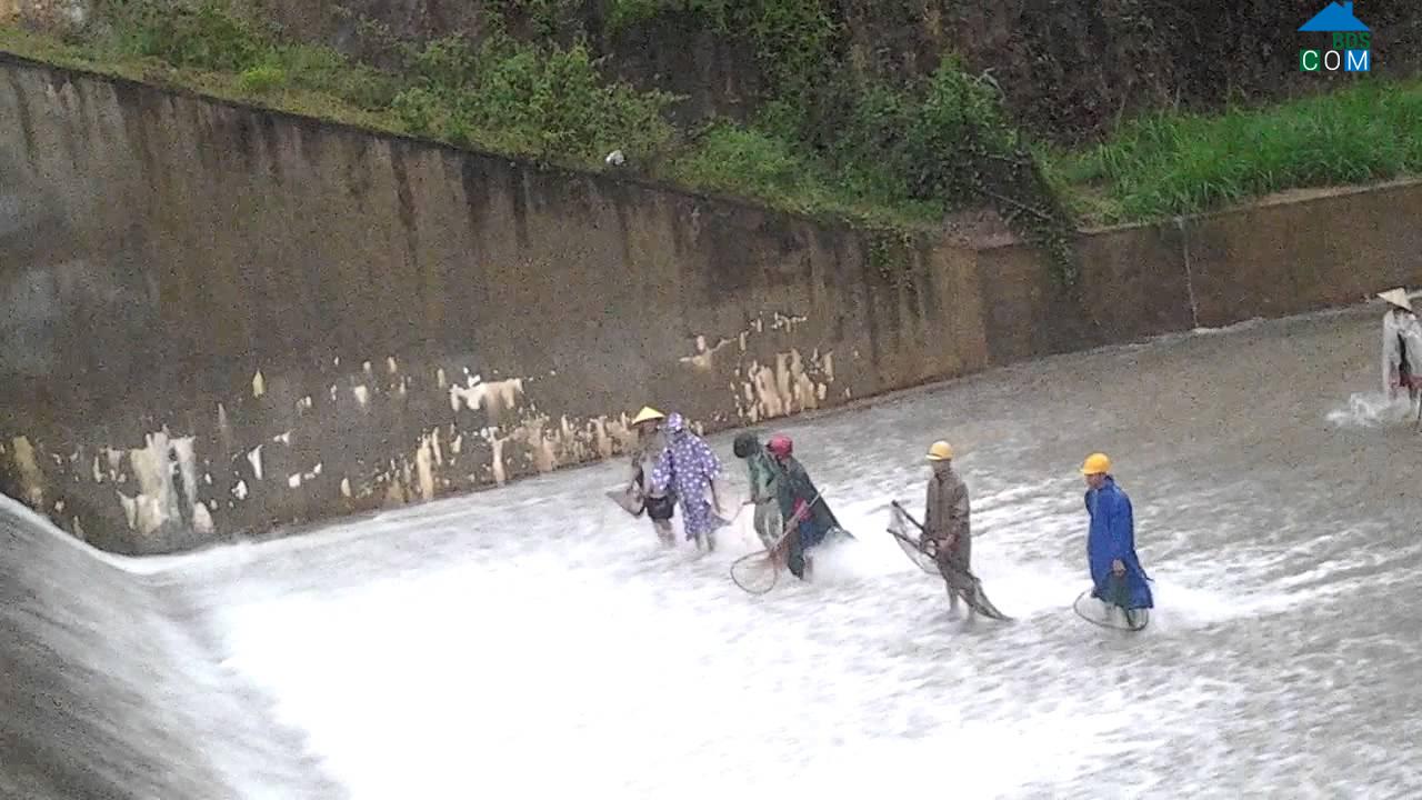 Hình ảnh Anh Sơn, Nghệ An