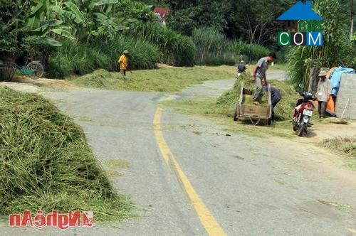 Hình ảnh Anh Sơn Đông, Nghệ An