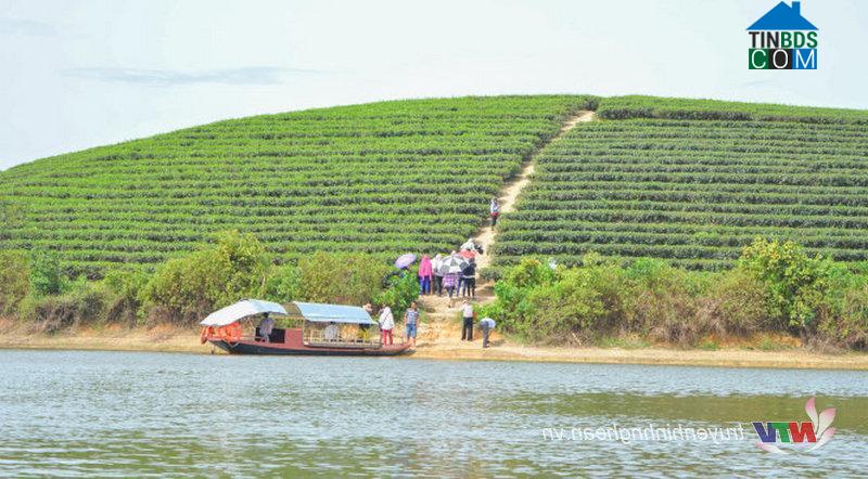 Hình ảnh Hoa Quân, Nghệ An