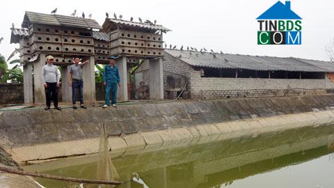 Hình ảnh Bình Minh, Nghệ An