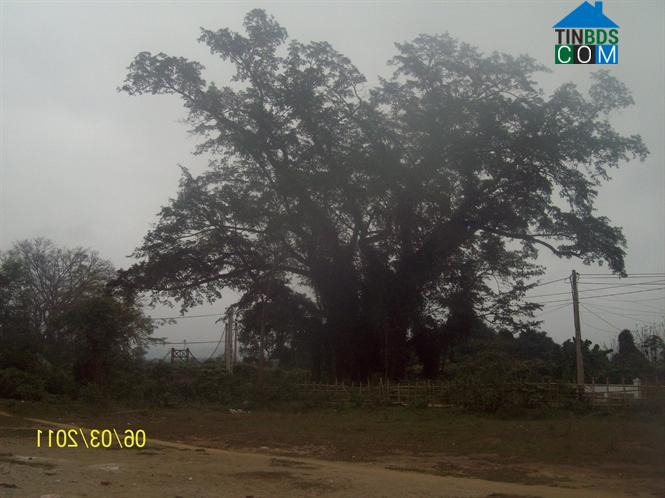 Hình ảnh Cam Phục, Nghệ An