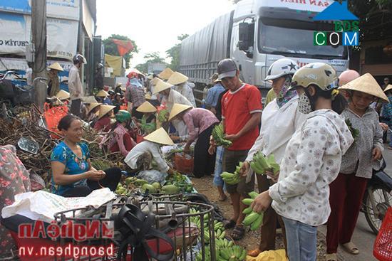 Hình ảnh Cát Ngạn, Nghệ An