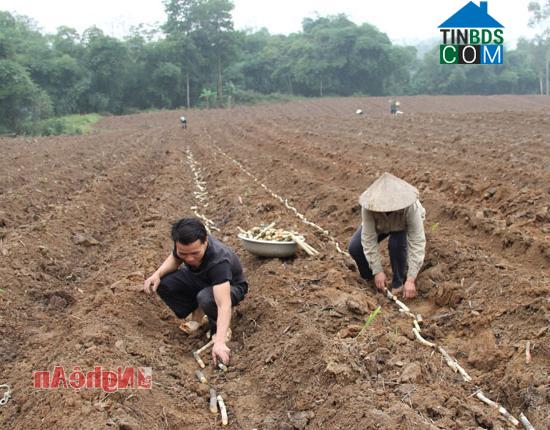 Hình ảnh Châu Khê, Nghệ An