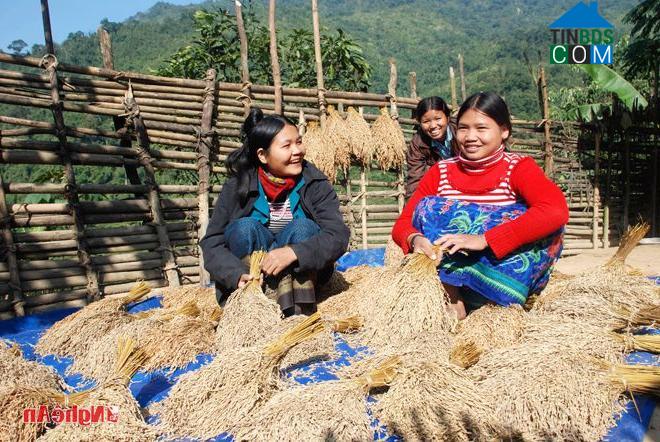 Hình ảnh Chiêu Lưu, Nghệ An