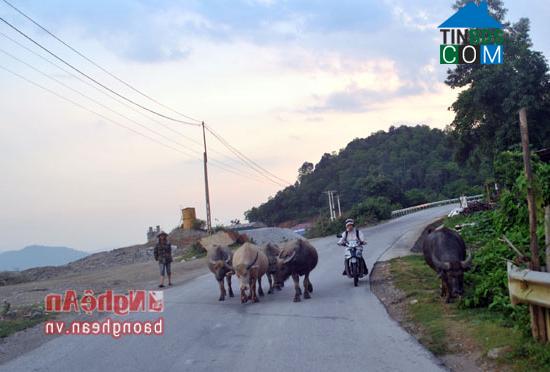 Hình ảnh Con Cuông, Nghệ An