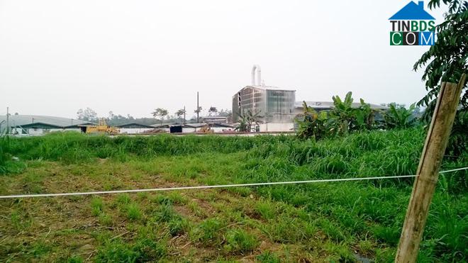 Hình ảnh Nghĩa Lộc, Nghệ An