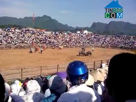 Hình ảnh Nhân Hòa, Nghệ An