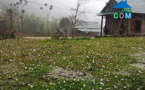 Hình ảnh Nhôn Mai, Nghệ An