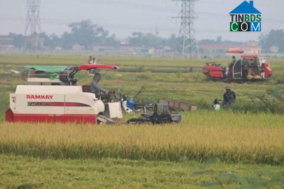 Hình ảnh Quan Thành, Nghệ An