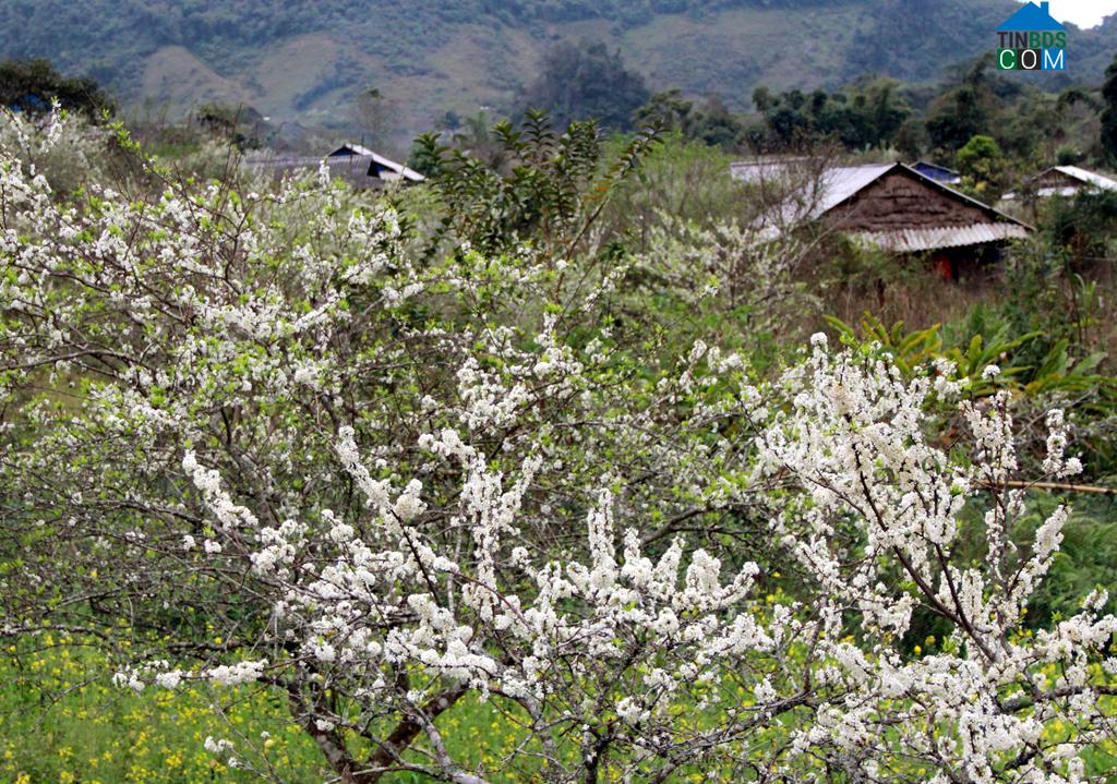 Hình ảnh Mường Lống, Nghệ An