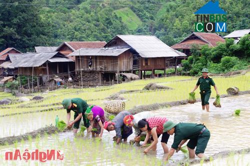 Hình ảnh Mường Típ, Nghệ An