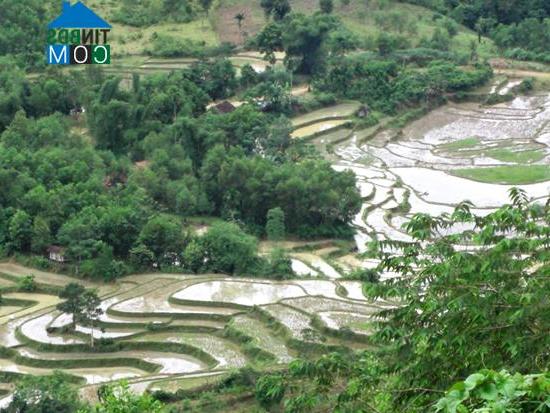 Hình ảnh Kon Plông, Quảng Ngãi