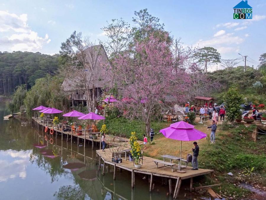 Hình ảnh Măng Đen, Quảng Ngãi