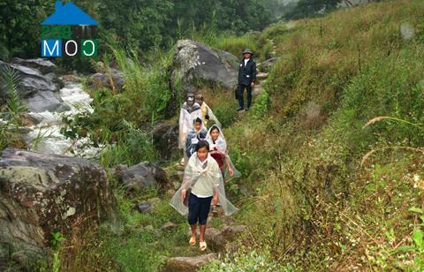 Hình ảnh Ngọc Linh, Quảng Ngãi