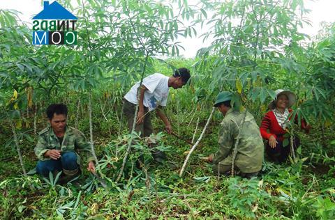 Hình ảnh Ngọk Réo, Quảng Ngãi