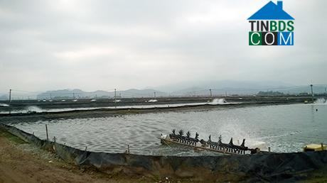 Hình ảnh Đông Mai, Quảng Ninh