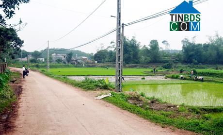 Hình ảnh Đông Ngũ, Quảng Ninh