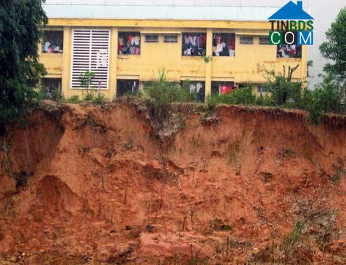 Hình ảnh Sơn Tây Thượng, Quảng Ngãi