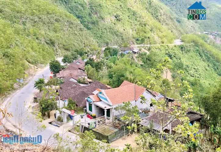 Hình ảnh Tây Trà Bồng, Quảng Ngãi