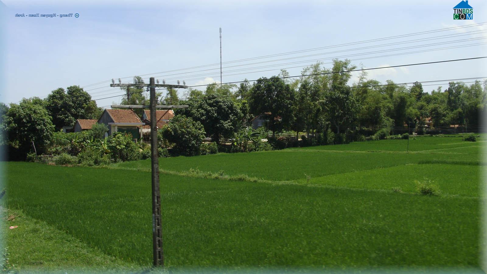 Hình ảnh Đông Sơn, Quảng Ngãi