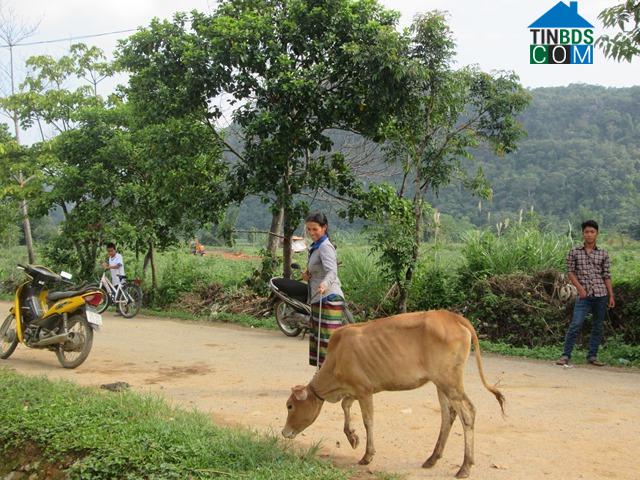 Hình ảnh Hướng Lập, Quảng Trị
