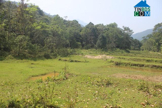 Hình ảnh Hướng Phùng, Quảng Trị