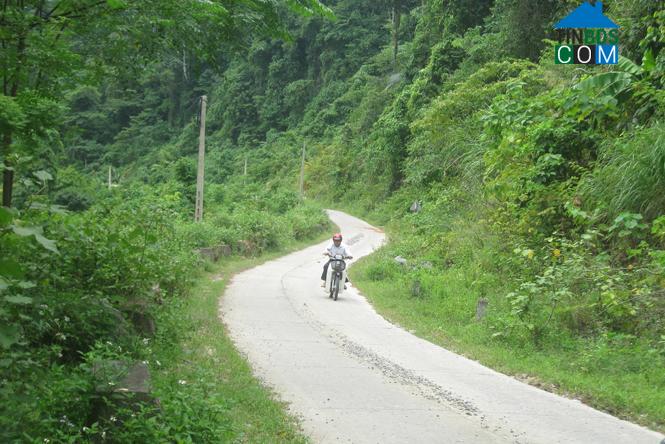 Hình ảnh Kim Điền, Quảng Trị