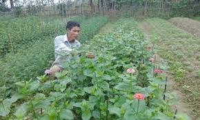 Hình ảnh Ái Tử, Quảng Trị