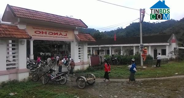 Hình ảnh Kim Ngân, Quảng Trị