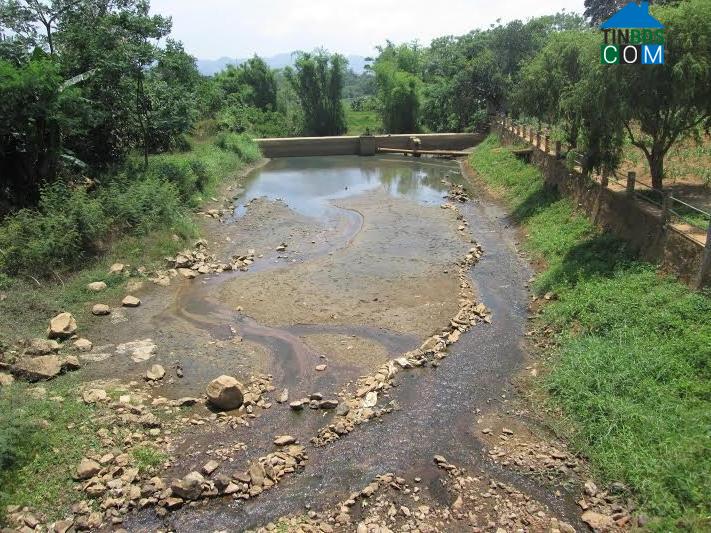 Hình ảnh Tân Lập, Quảng Trị