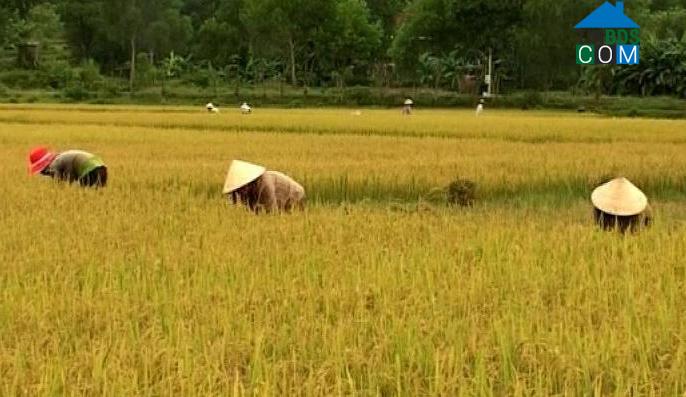 Hình ảnh Vĩnh Hoàng, Quảng Trị