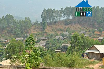 Hình ảnh Chiềng Khương, Sơn La