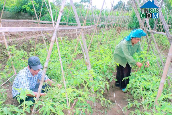 Hình ảnh Chiềng Mung, Sơn La