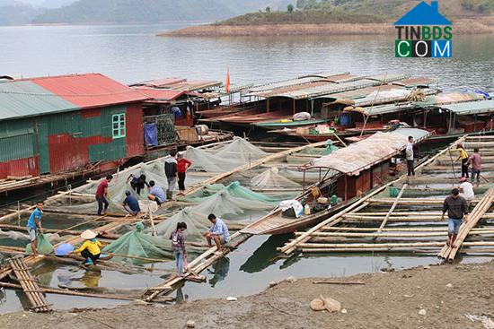 Hình ảnh Quỳnh Nhai, Sơn La