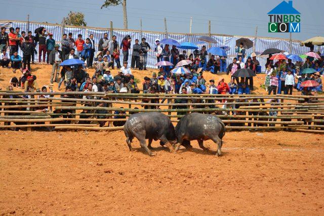 Hình ảnh Tà Hộc, Sơn La