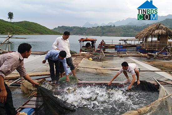 Hình ảnh Mường Sại, Sơn La