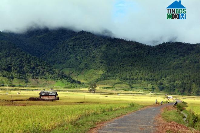 Hình ảnh Ngọc Chiến, Sơn La