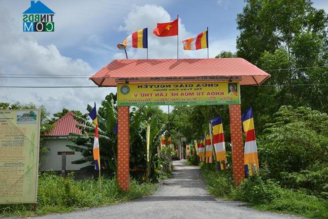 Hình ảnh Cần Giuộc, Tây Ninh