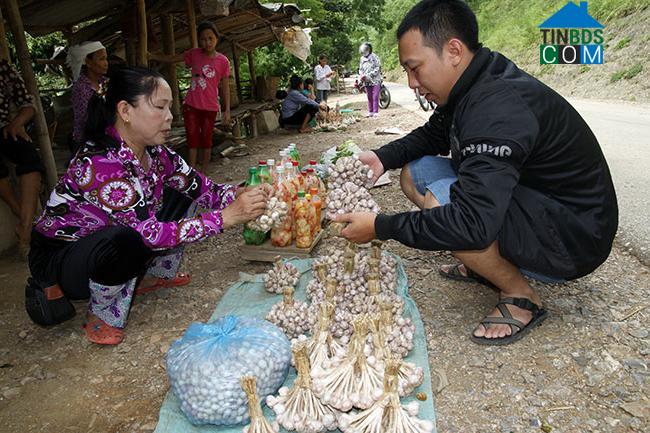 Hình ảnh Tường Hạ, Sơn La