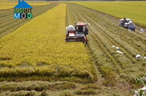 Hình ảnh Vĩnh Thạnh, Tây Ninh