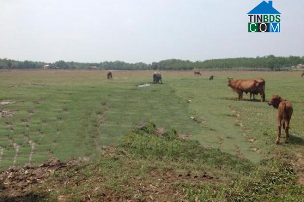 Hình ảnh An Tịnh, Tây Ninh