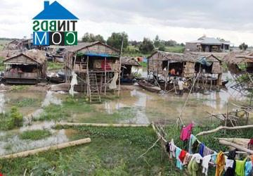 Hình ảnh Tuyên Bình, Tây Ninh