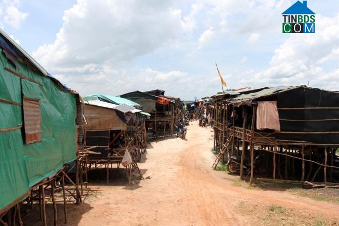 Hình ảnh Nhơn Ninh, Tây Ninh