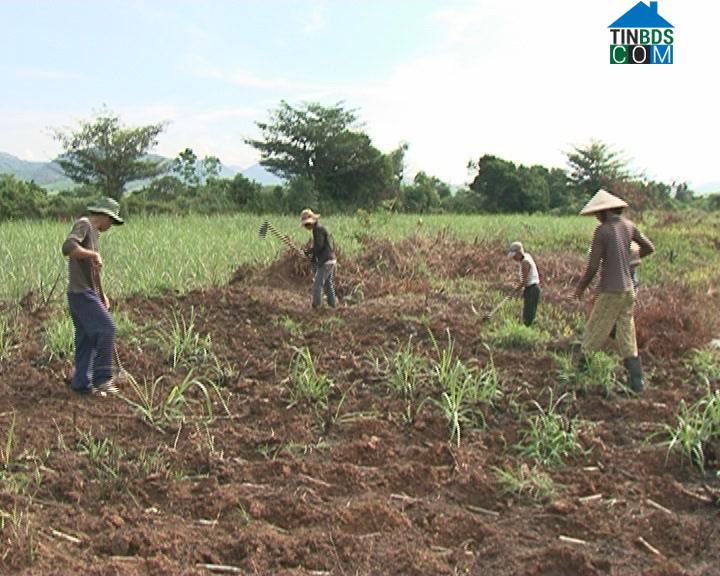 Hình ảnh Ninh Điền, Tây Ninh