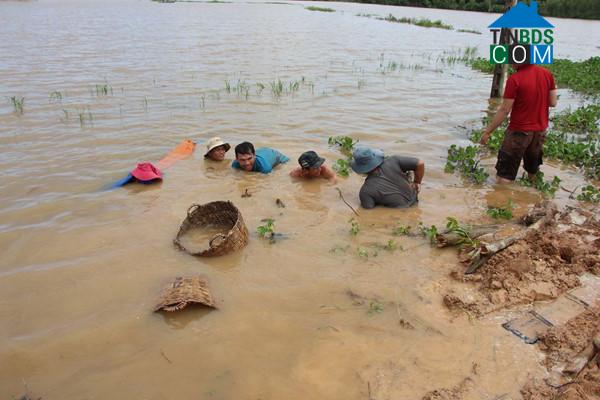 Hình ảnh Hòa Hội, Tây Ninh